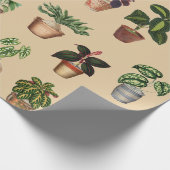 Waterverf Potlood Planten Terracotta Pots Pattern Cadeaupapier (Hoek)
