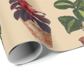 Waterverf Potlood Planten Terracotta Pots Pattern Cadeaupapier (Rol Hoek)