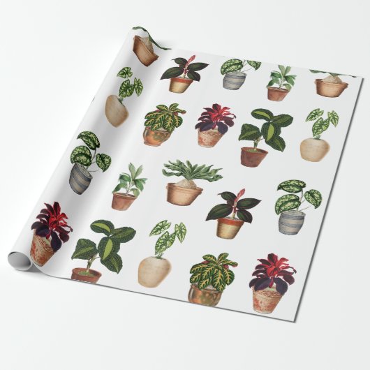 Waterverf Potlood Planten Terracotta Pots Pattern Cadeaupapier (Uitgerold)