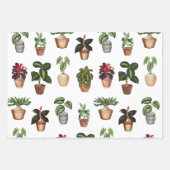 Waterverf Potlood Planten Terracotta Pots Pattern Inpakpapier Vel (Voorkant)