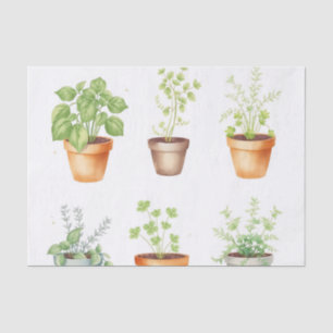 Waterverf Potted Herbs op Cream Achtergrond Tissuepapier