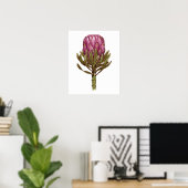 Waterverf Protea Plant Illustratie Poster  (Thuiskantoor)