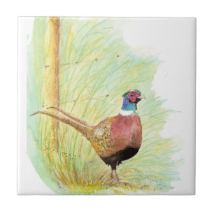 Waterverf Ring Necked Pheasant Bird Art Tegeltje