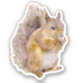 Waterverf rode eekhoorn sticker (Voorkant)