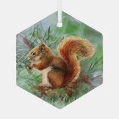 Waterverf Roodeekhoorn Dierenbescherming Glas Ornament (Achterkant)