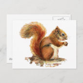 Waterverf Roodeekhoorn Natuur Briefkaart (Voorkant / Achterkant)