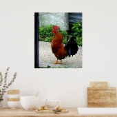 Waterverf Rooster Chicken Print (Keuken)