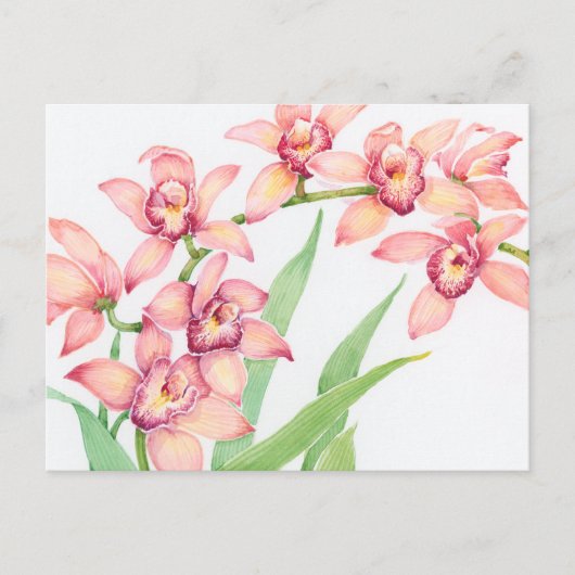 Waterverf Roze bloemen Briefkaart (Voorkant)