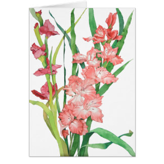 Waterverf Roze Gladiolas