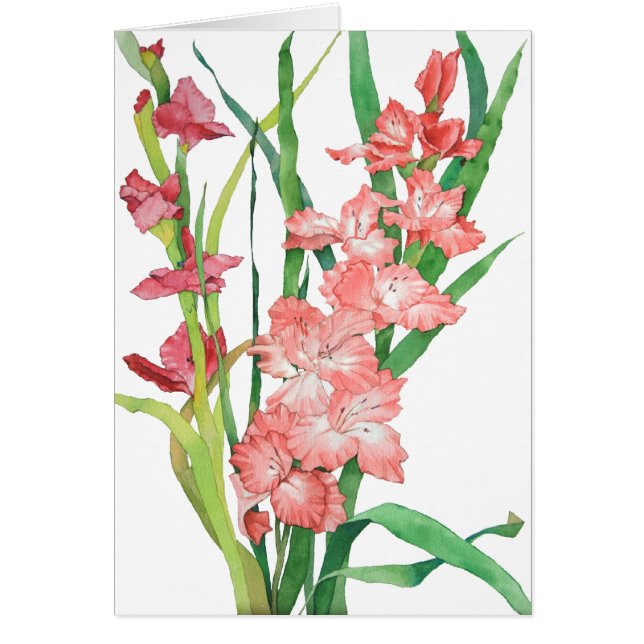 Waterverf Roze Gladiolas (Voorkant)
