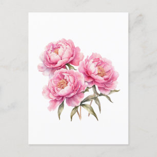 Waterverf Roze Pioen Bloemen Briefkaart