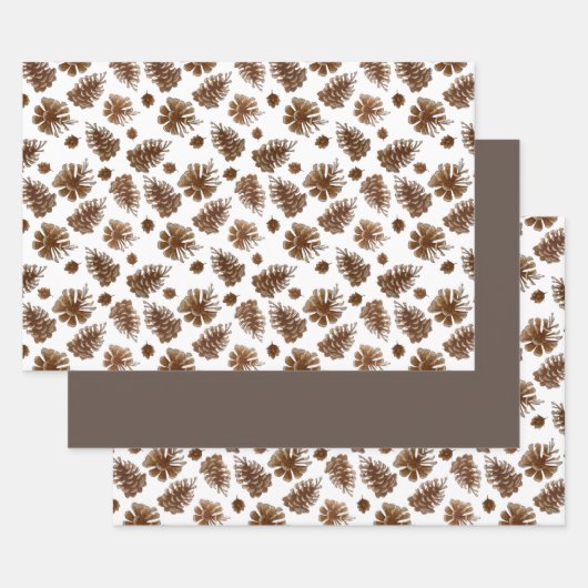 Waterverf Rustic Pinecone Inpakpapier Vel (Set)