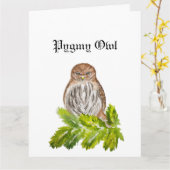 Waterverf Saw Whet Cute Little Owls Kaart (Gele Bloem)