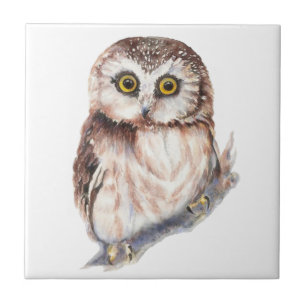 Waterverf Schattigee Little Shocked Looking Uil Bi Tegeltje