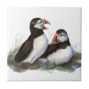 Waterverf Schattigee Puffin Bird Art Tegeltje