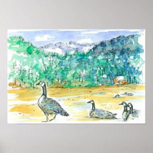 Waterverf Schetskunst in Canada Geese Blue Mountai Poster