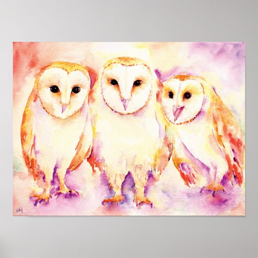 Waterverf schilderen van 3 Barn Owls Poster (Voorkant)
