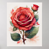 Waterverf Schilderen van een Roos Rood II Poster (Voorkant)