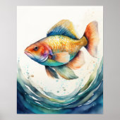 Waterverf Schilderen van Vis Poster (Voorkant)