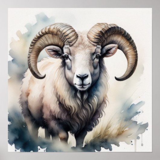 Waterverf Schilderij van Big Horn Sheep II Poster (Voorkant)