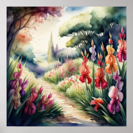Waterverf Schilderij van Gladiolus Landschap Poster (Voorkant)