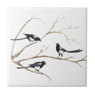 Waterverf Schilderij van Magpie Bird Family Tegeltje