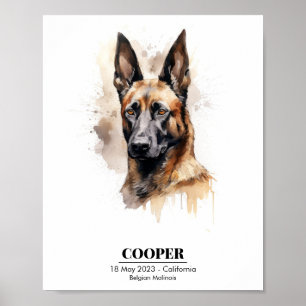  Waterverf Schilderij van Malinois Poster