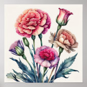 Waterverf Schilderij van Roze Anjers Poster (Voorkant)