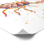Waterverf Scorpion Poster (Hoek)