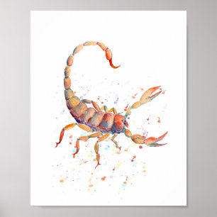 Waterverf Scorpion Poster