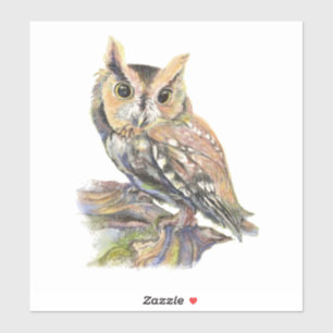 Waterverf Screech Owl Bird Natuur Art Sticker