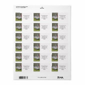 Waterverf Sheep Return-adres Etiket (Full Sheet)