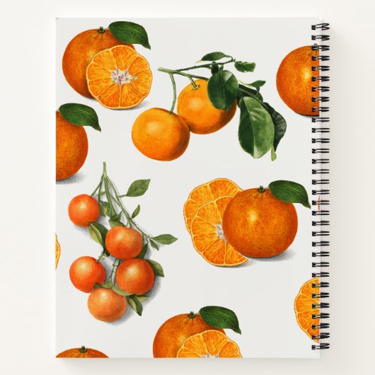 Waterverf Sinaasappel Citrus Recipe Notitieboek (Achterkant)