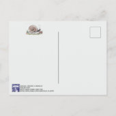 Waterverf slak Natuur Dierlijk Briefkaart (Achterkant)
