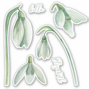 Waterverf sneeuwklokje. Lente bloemen. Bloemnaam Sticker