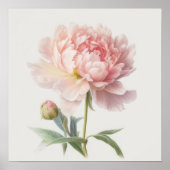 Waterverf Soft Pink Peony op Bloom Square Poster (Voorkant)