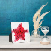 Waterverf Starfish Fotoplaat (Insitu)