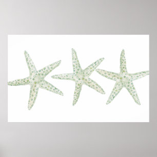 Waterverf Starfish Trio Poster