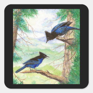 Waterverf Stellar Jay Vogels Bos Bomen Vierkante Sticker