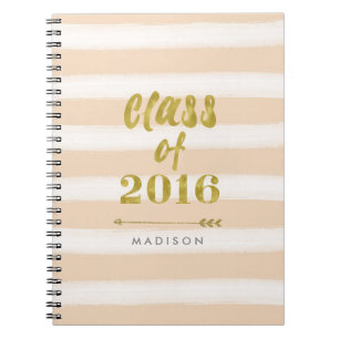 Waterverf Stripe en Faux Gold Foil Klasse 2016 Notitieboek