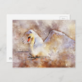 Waterverf Swan Briefkaart (Voorkant / Achterkant)