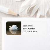 Waterverf Swan Etiket (Insitu)