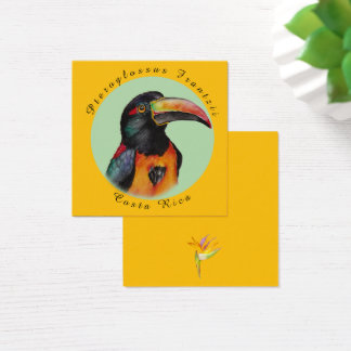 Waterverf toekan vierkante visitekaartjes