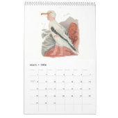  Waterverf trekkingen vogel Kinderen 5 Kalender (Mar 2026)