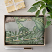 Waterverf Tropisch Woud & Toucan Vogels Tissuepapier (Geschenk)