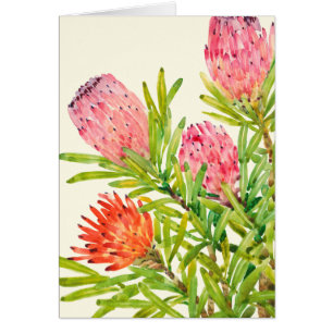 Waterverf Tropische bloemen