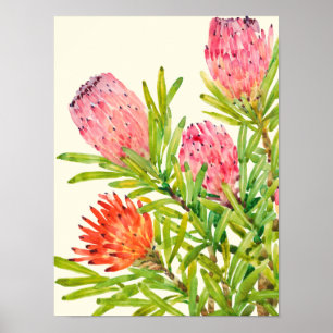 Waterverf Tropische bloemen Poster