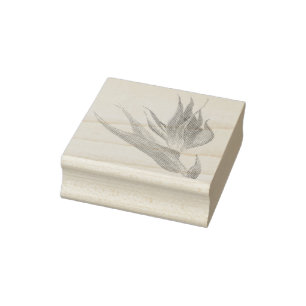 Waterverf Tropische vogel van het paradijs Rubberstempel