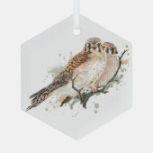 Waterverf valk valk-vrienden paardenvogels glas ornament (Achterkant)