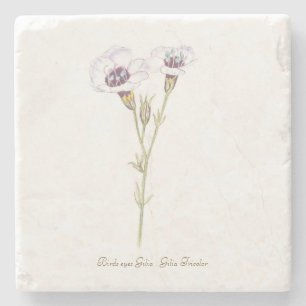 Waterverf van Bird's Eyes Gilia Stenen Onderzetter